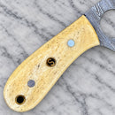 SANITY JEWELRY® 7" Jesse James Damascus Steel Kitchen & Camp Knife - Bone - JJ003