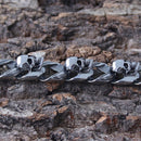 Sanity Jewelry Bracelet Road Warrior Skull Bracelet - Links Made of Skulls - B79