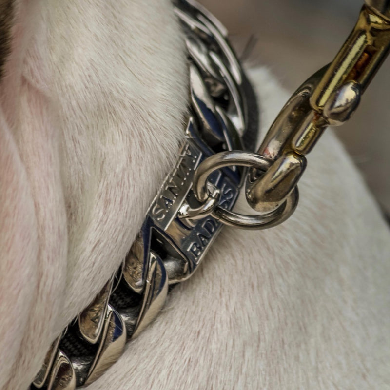 “Dog Collar” - Silver - Sanity's Bad Ass Custom - 1" wide - D81