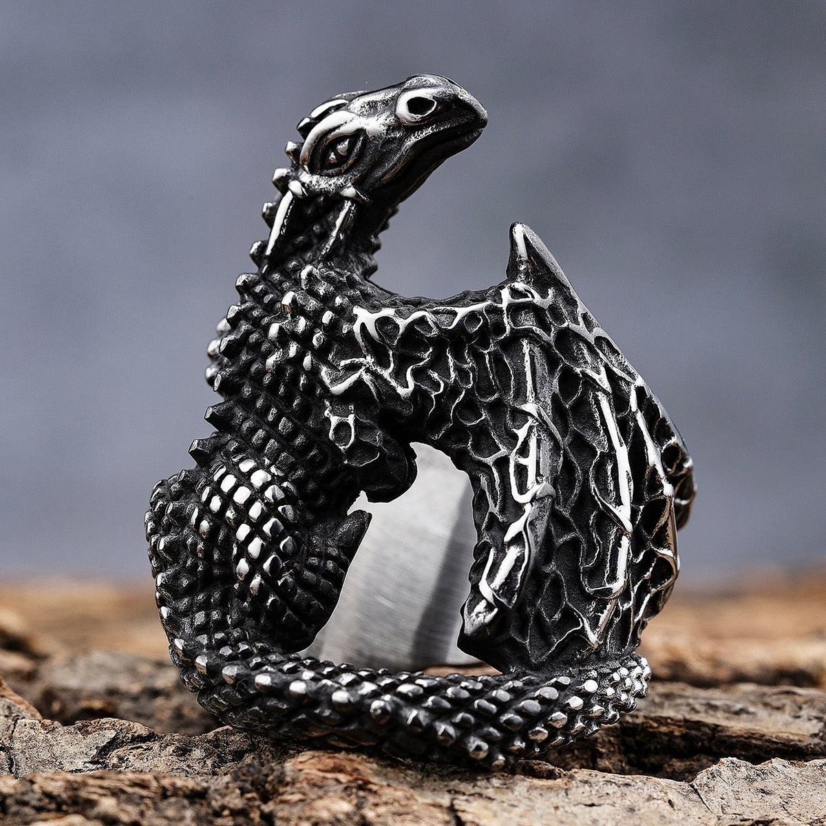 skull-ring-dragon-ring-sizes-6 