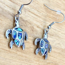 Abalone - Turtle -Sea Turtle Earrings SK2567E Earrings Biker Jewelry Skull Jewelry Sanity Jewelry Stainless Steel jewelry