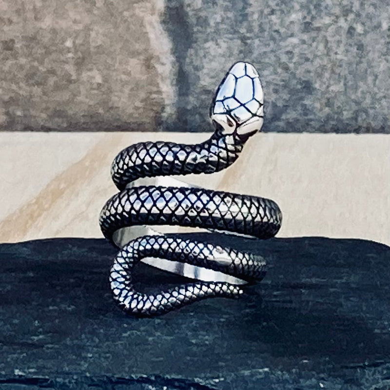Sanity Jewelry Skull Ring Snake Ring - Stainless - Sizes 6-13 - R131